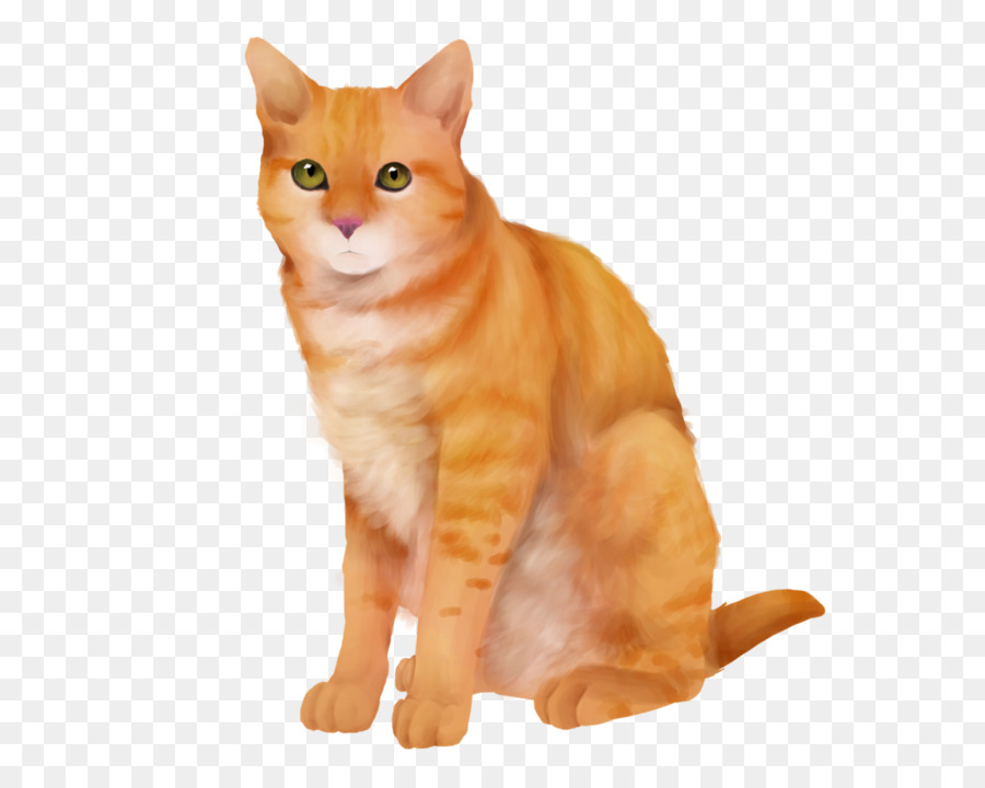 Chat，Animal De Compagnie PNG