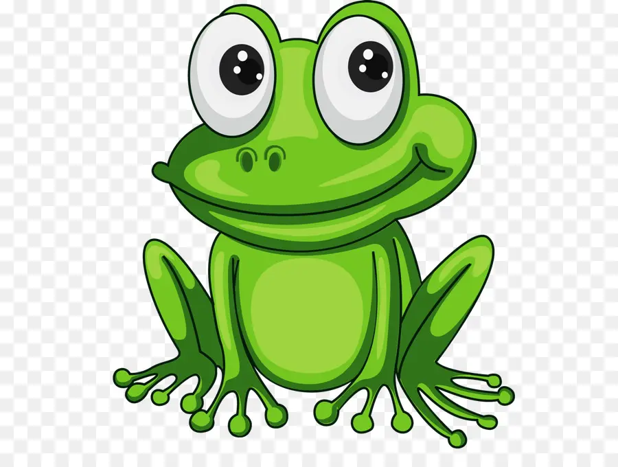 Grenouille Verte，Amphibie PNG