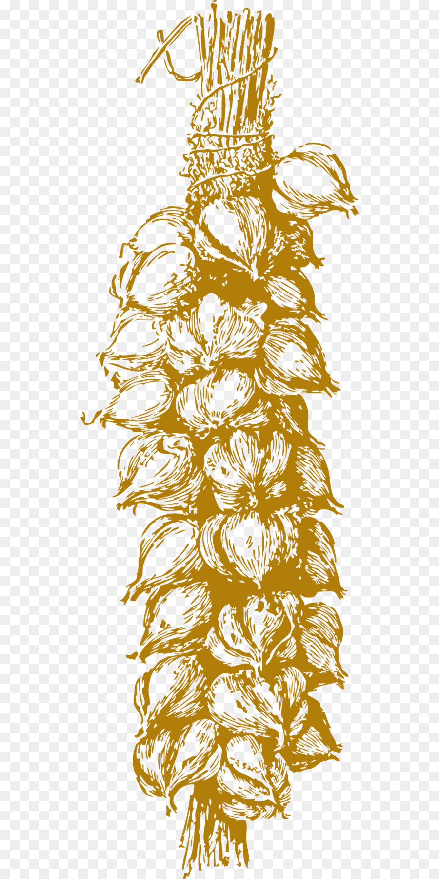 Tresse à L'ail，Illustration PNG