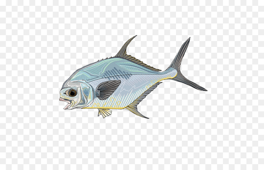 Poisson，Aquatique PNG