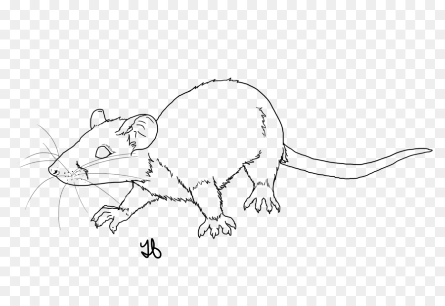 Croquis De Souris，Animal PNG