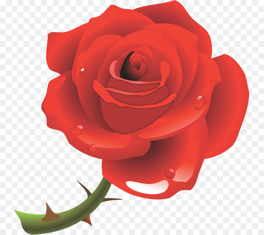 Roses De Jardin，Fleur PNG