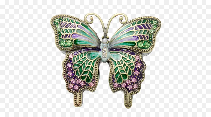 Broche Papillon，Coloré PNG