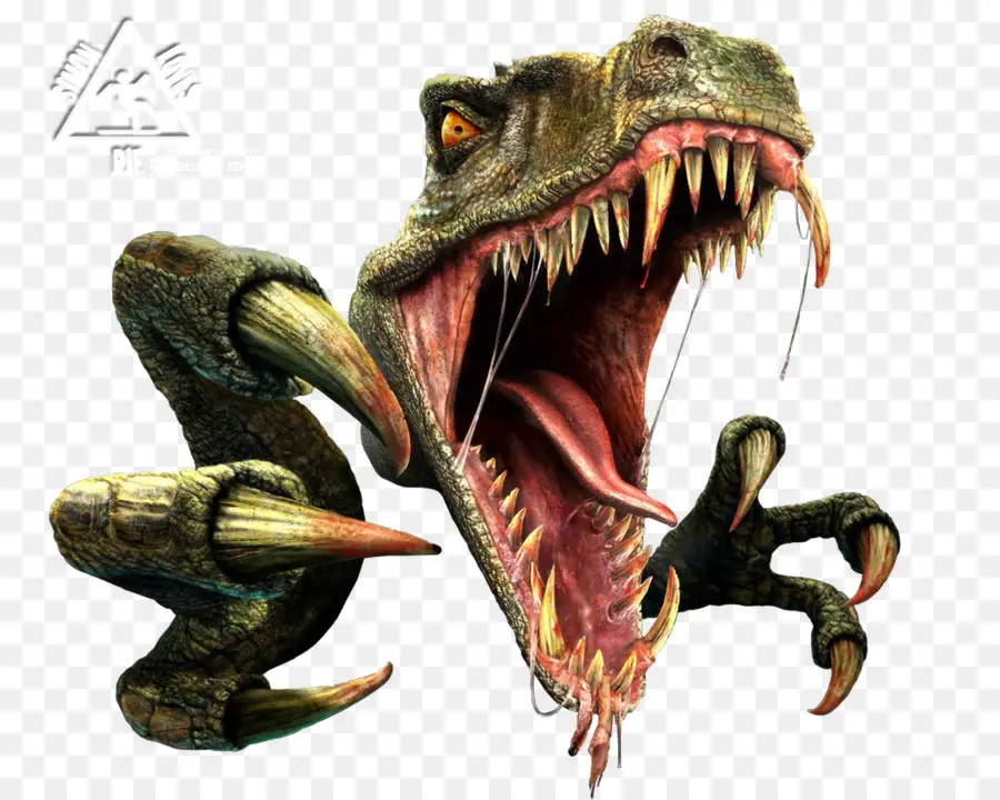 Dinosaure，Dents PNG