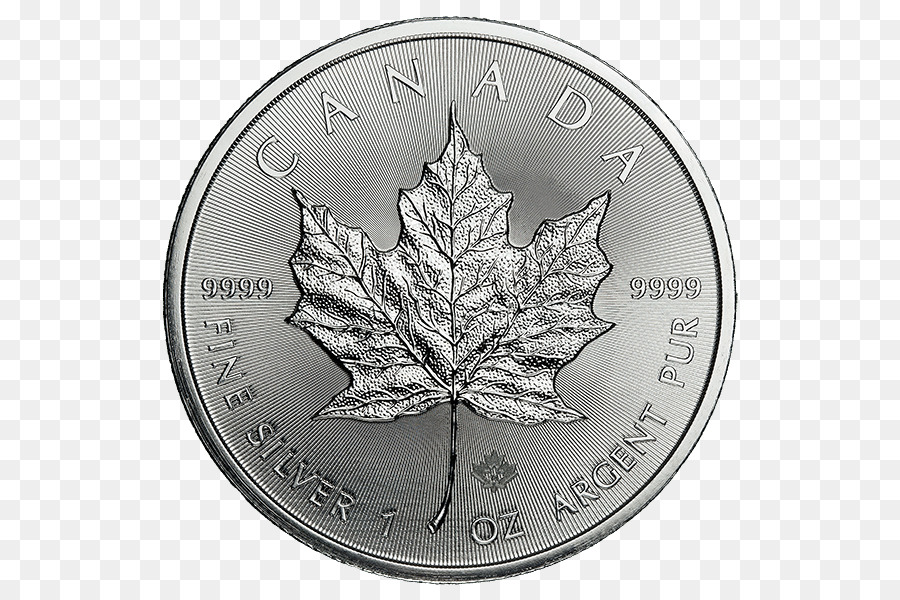 Canadien De La Feuille D érable En Argent，Canadien De La Feuille D Érable En Or PNG