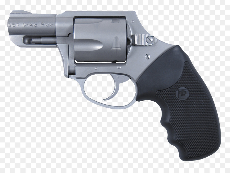 Charte Des Armes，357 Magnum PNG