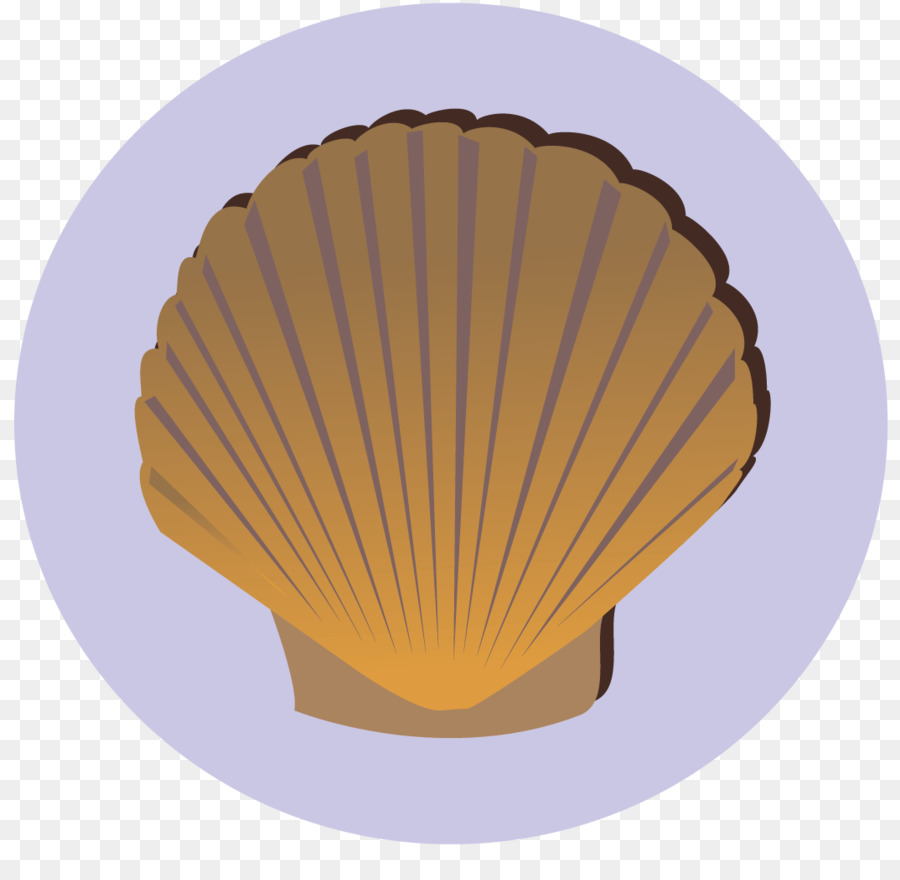 Coquille Jaune，Mer PNG