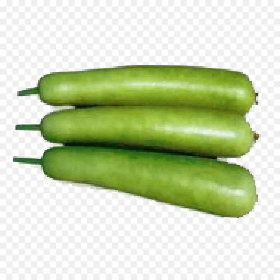 Courges Vertes，Légume PNG