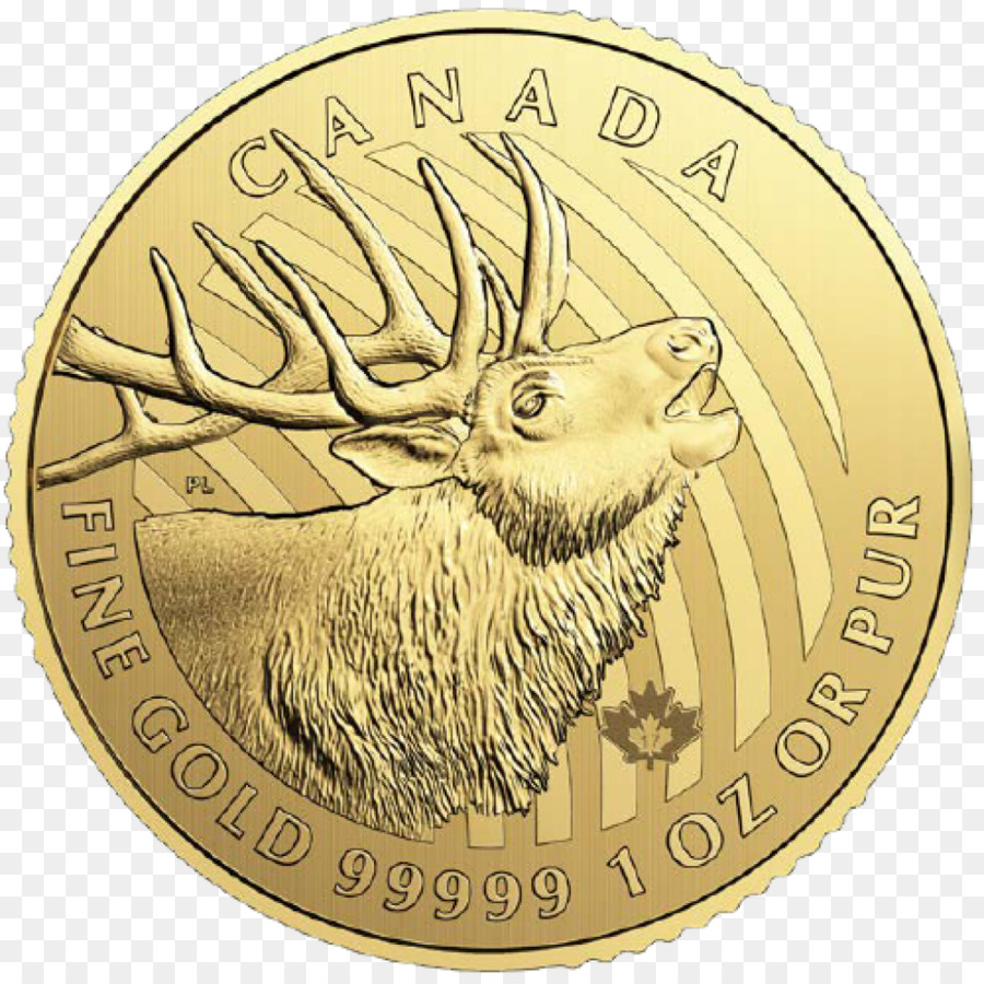 Elk，Canada PNG