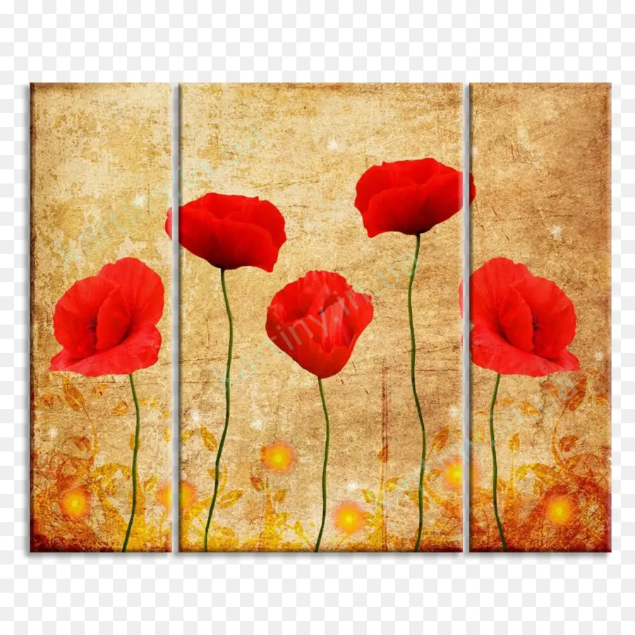 Coquelicots Rouges，Nature PNG