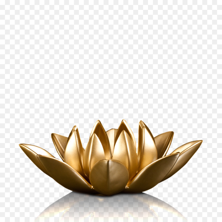 Bougie Lotus，Fleur PNG