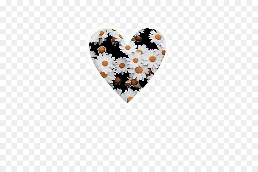 Coeur Avec Des Marguerites，Fleur PNG