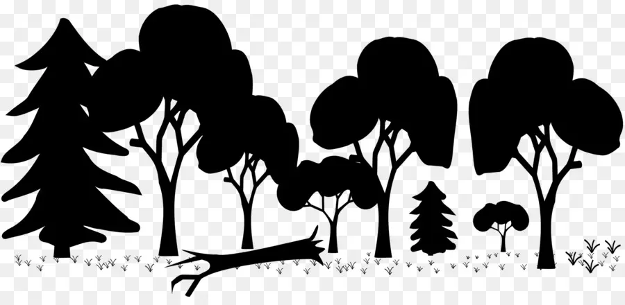 Forêt，Silhouette PNG