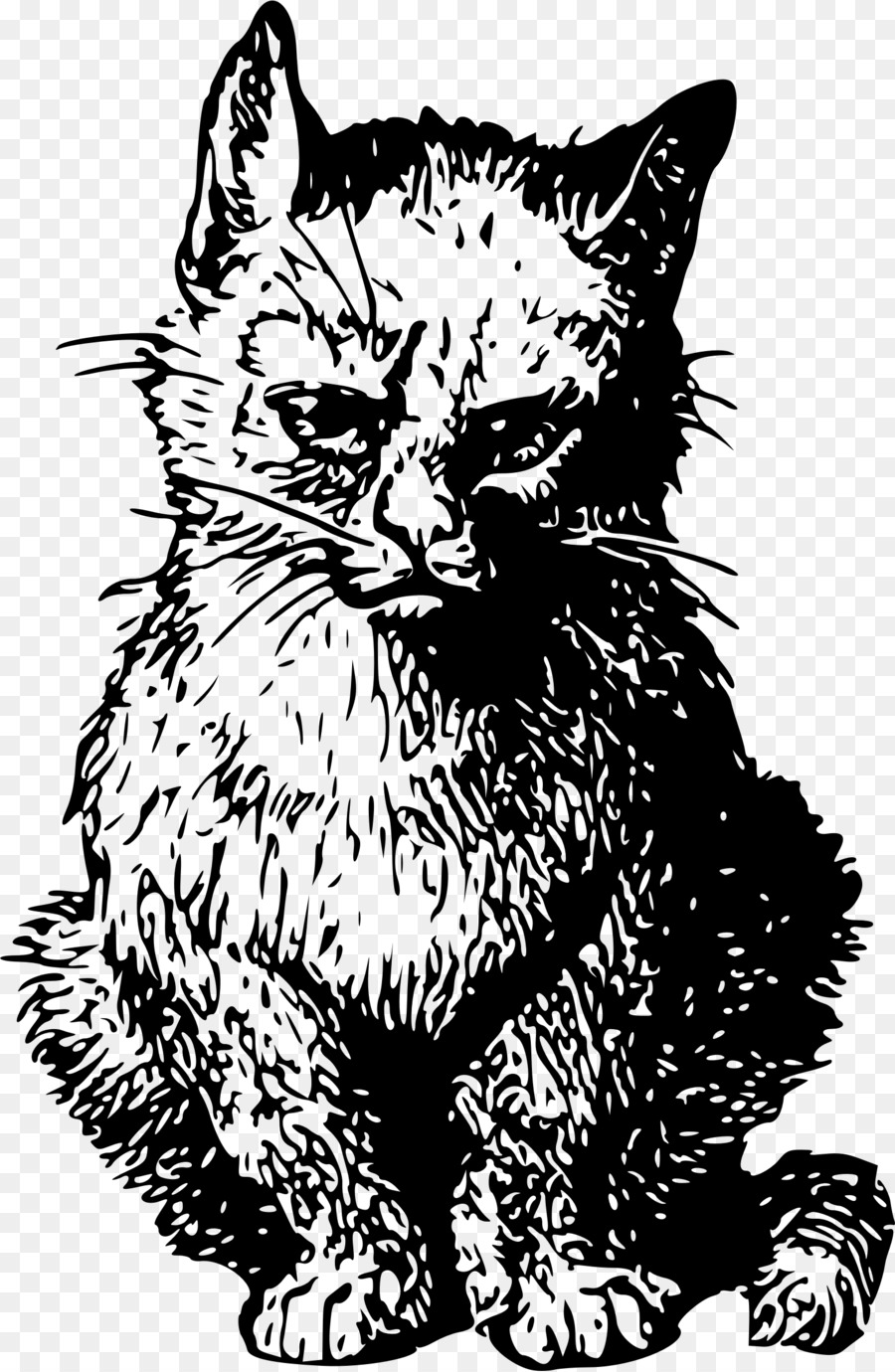 Chat，Animal De Compagnie PNG