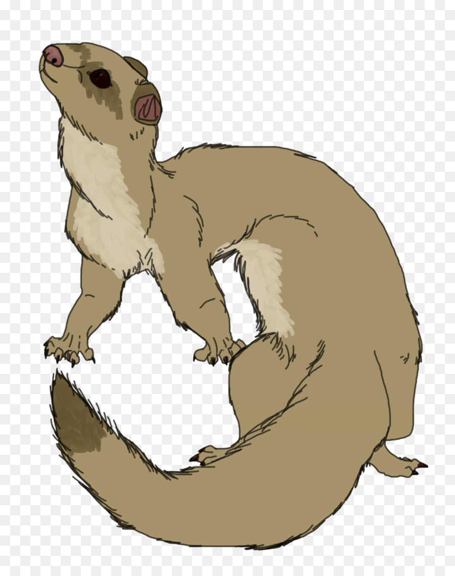 Kangourou De Dessin Animé，Marsupial PNG