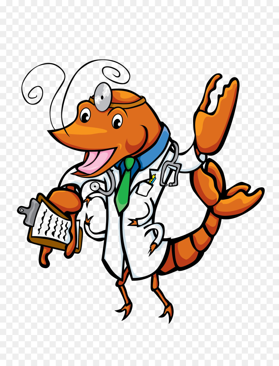 Docteur En Crevettes De Dessin Animé，Stéthoscope PNG