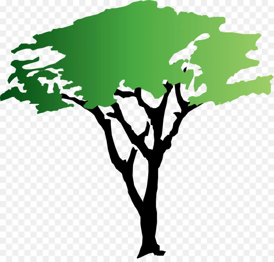 Arbre Vert，Arbre PNG