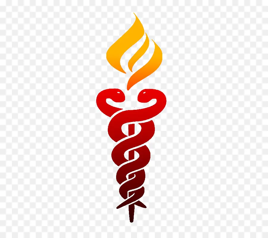 Torche Avec Des Serpents，Flamme PNG