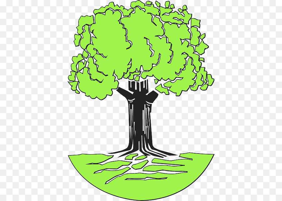 Arbre，Dessin PNG