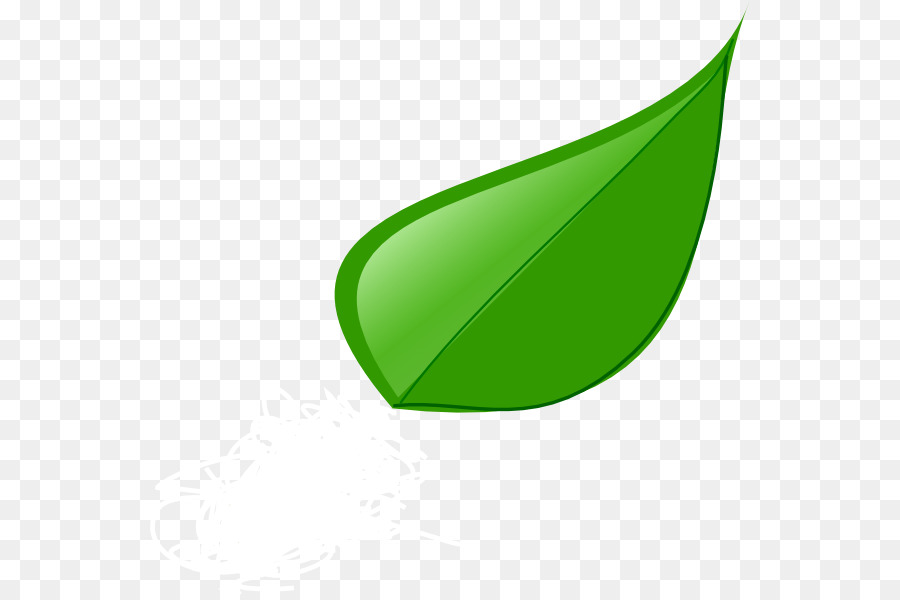 Feuille，Usine PNG