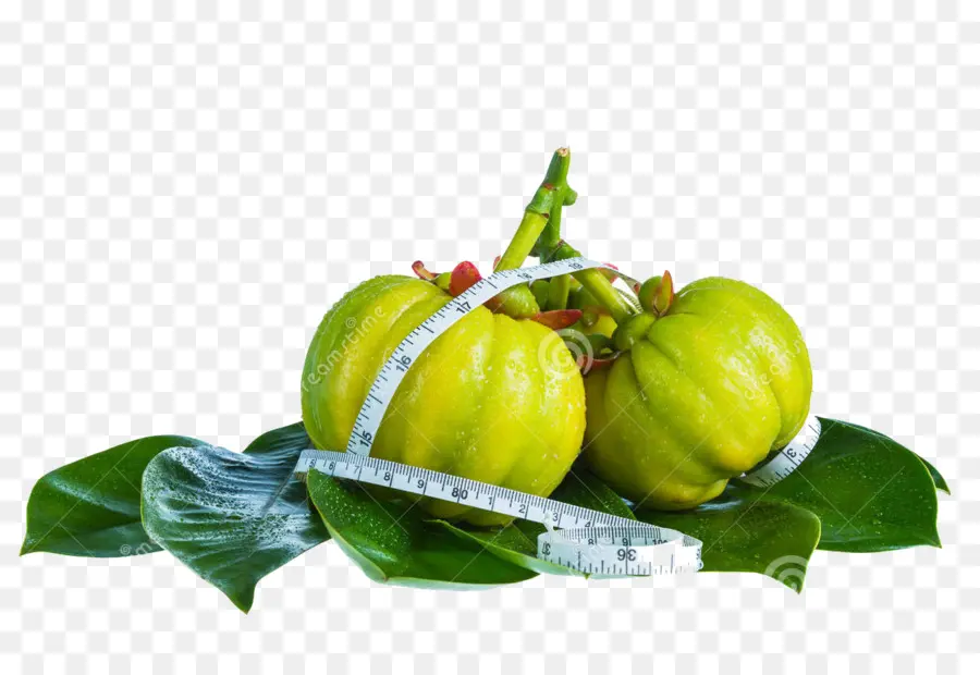 Garcinia Cambogia，Perte De Poids PNG