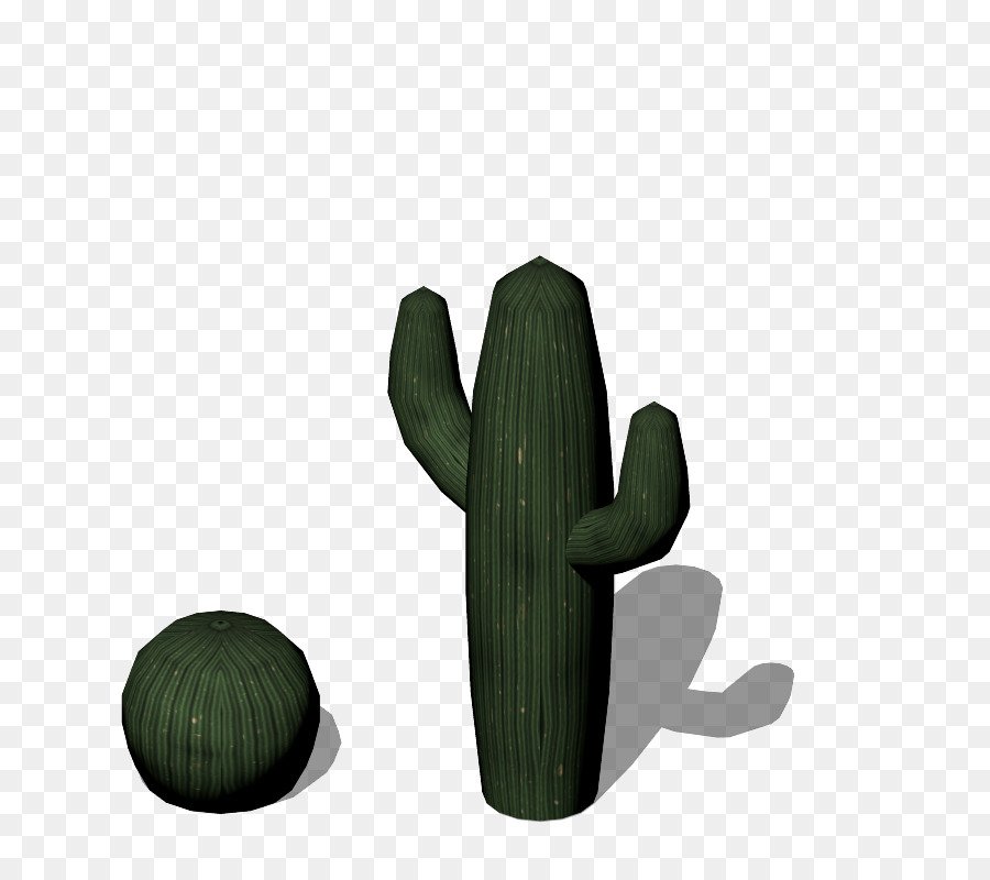 Cactaceae，Faible Poly PNG