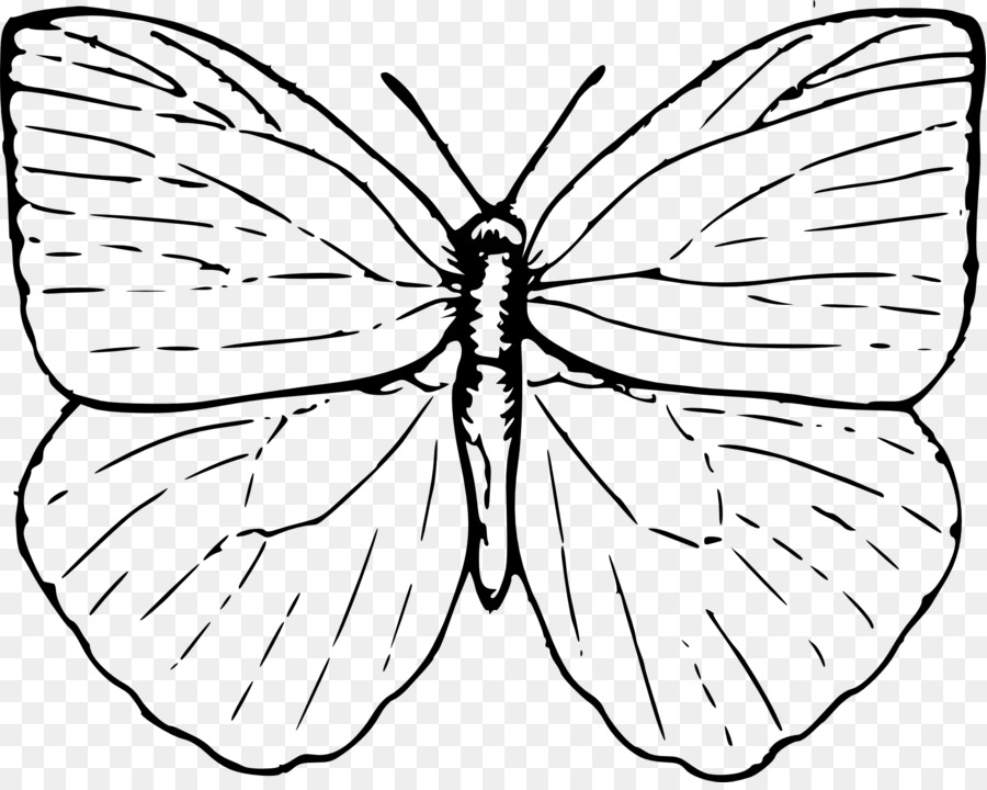 Dessin De Papillon，Insecte PNG