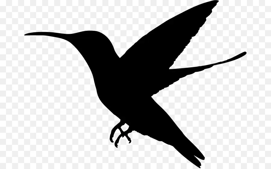 Silhouette D'oiseau，Vol PNG