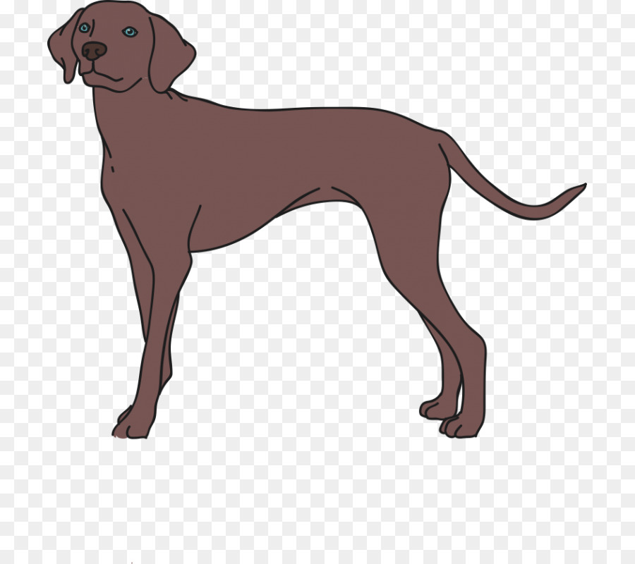 Chien，Animal De Compagnie PNG