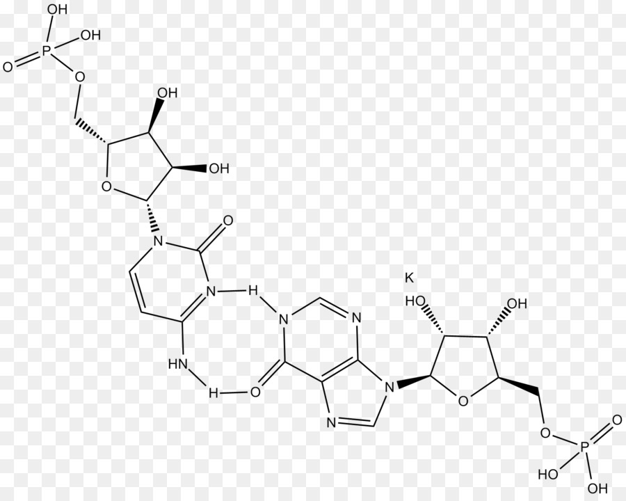 Polyinosinicpolycytidylic Acide，Tolllike Récepteur PNG