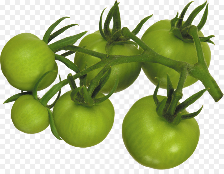 Tomate Verte，Vert PNG