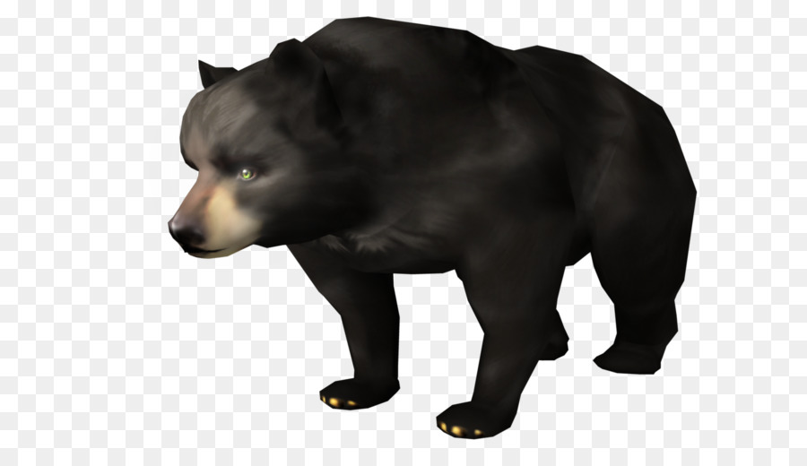 Grizzly，Ours Noir Américain PNG