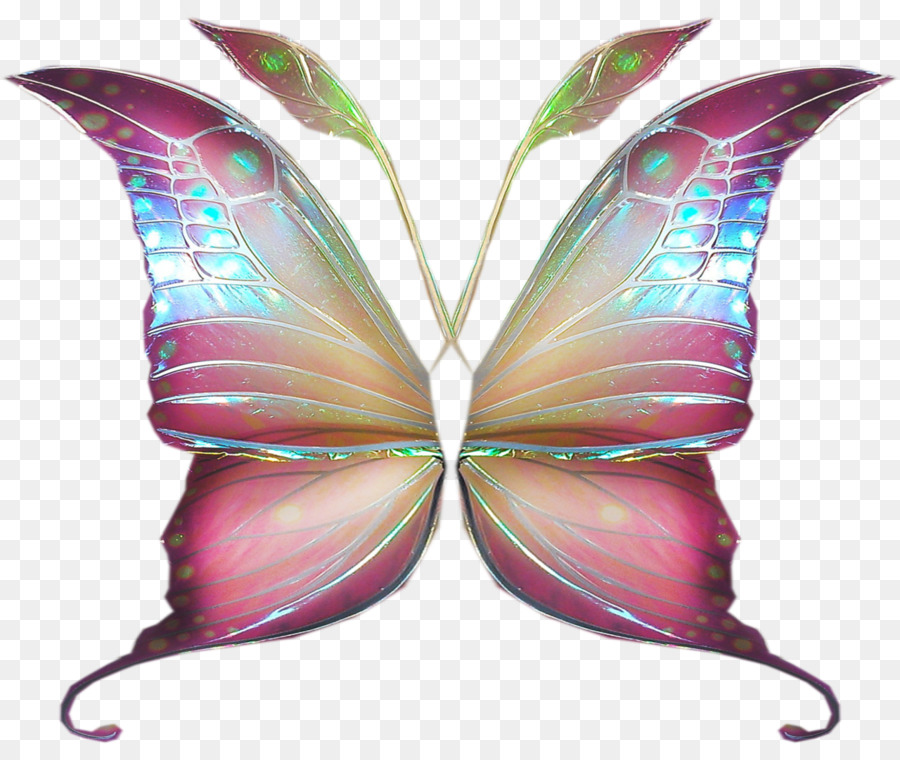 Papillons，Ailes PNG