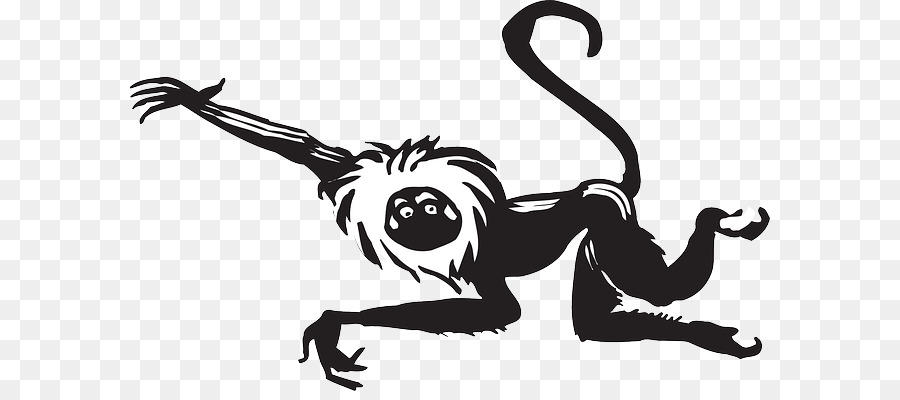 Singe，Noir Et Blanc PNG