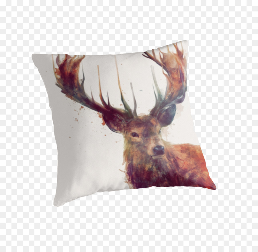 Les Coussins，Coussin PNG