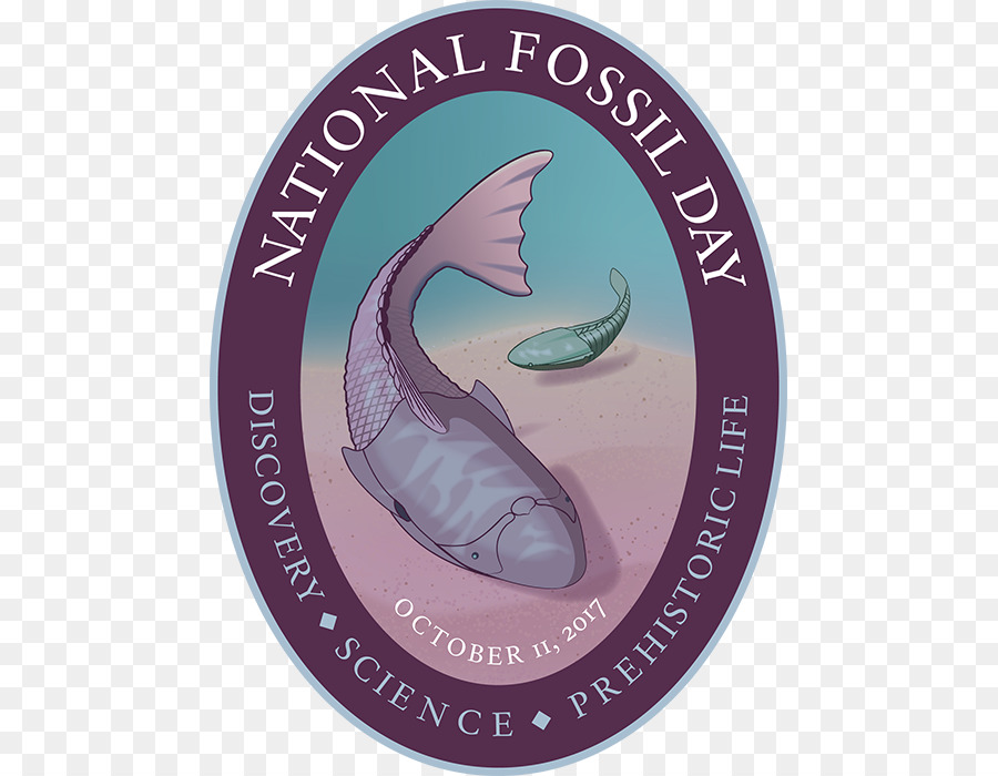 National Fossiles Jour，Fossiles PNG