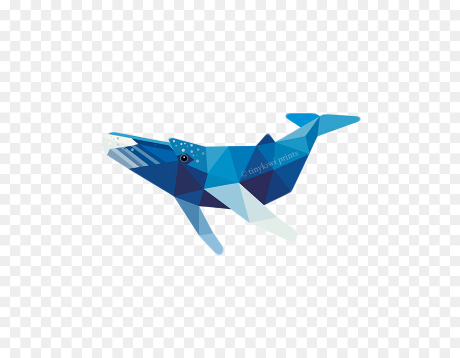 Géométrie，Baleine PNG