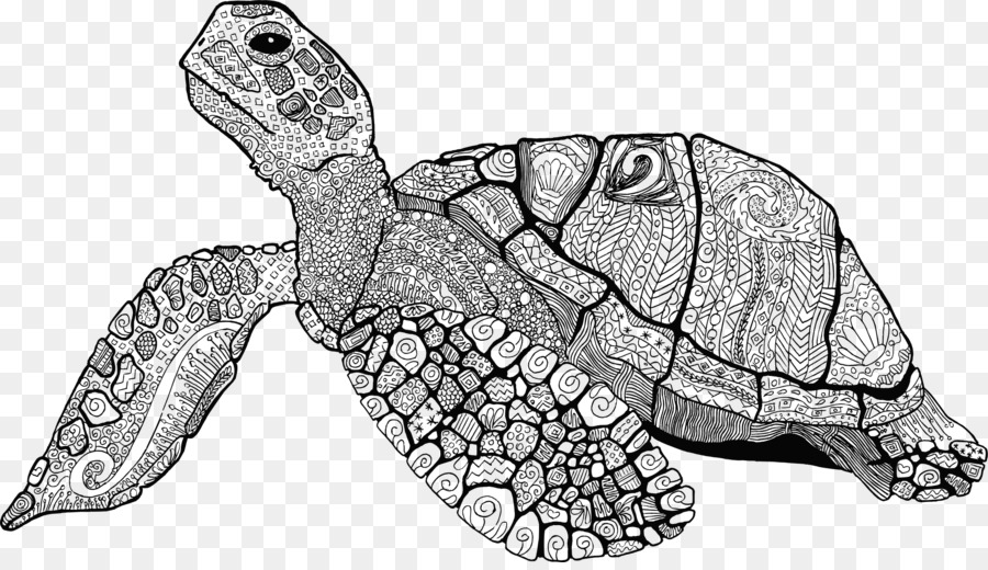 Tortue, Dessin, Tortue De Mer PNG - Tortue, Dessin, Tortue De Mer