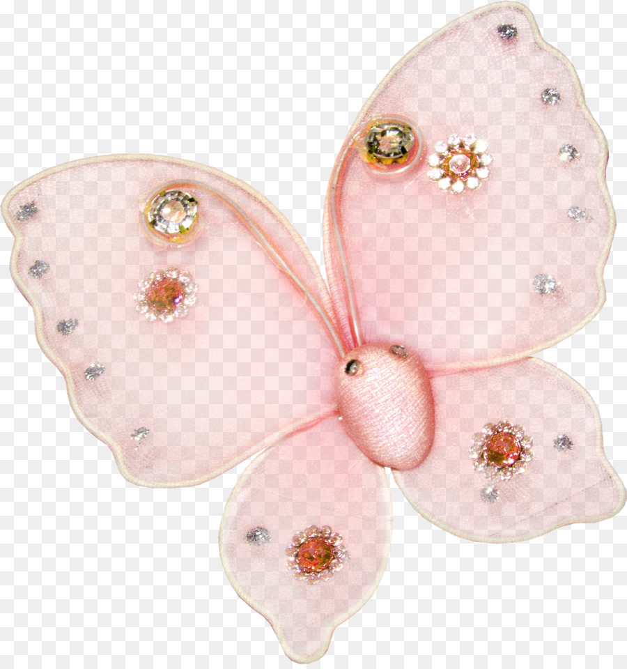 Papillon，Blog PNG