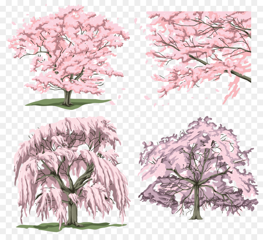 Arbre，Branche PNG