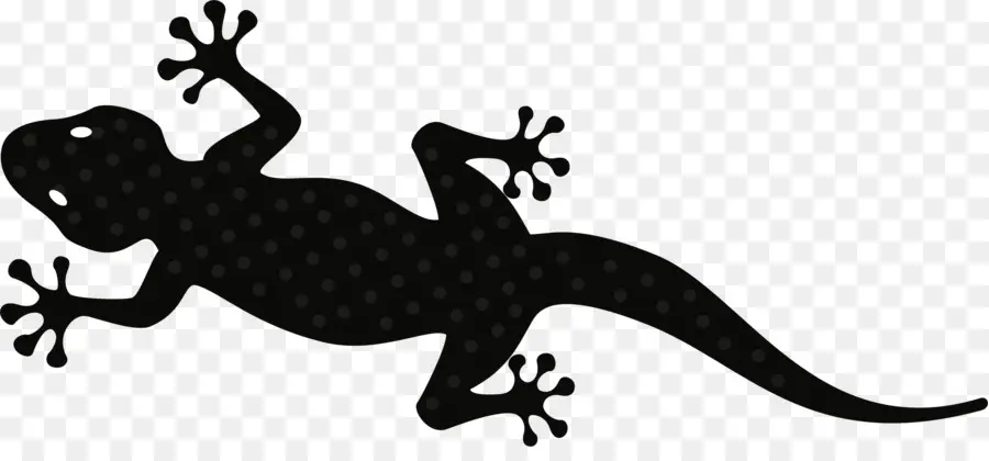 Gecko，Lézard PNG