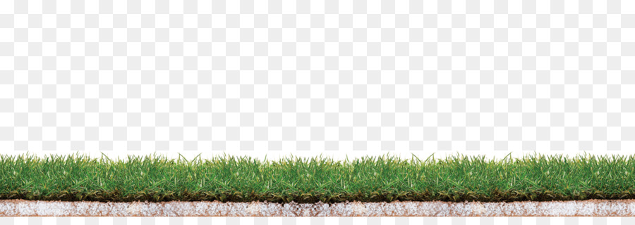 Herbe，Pelouse PNG