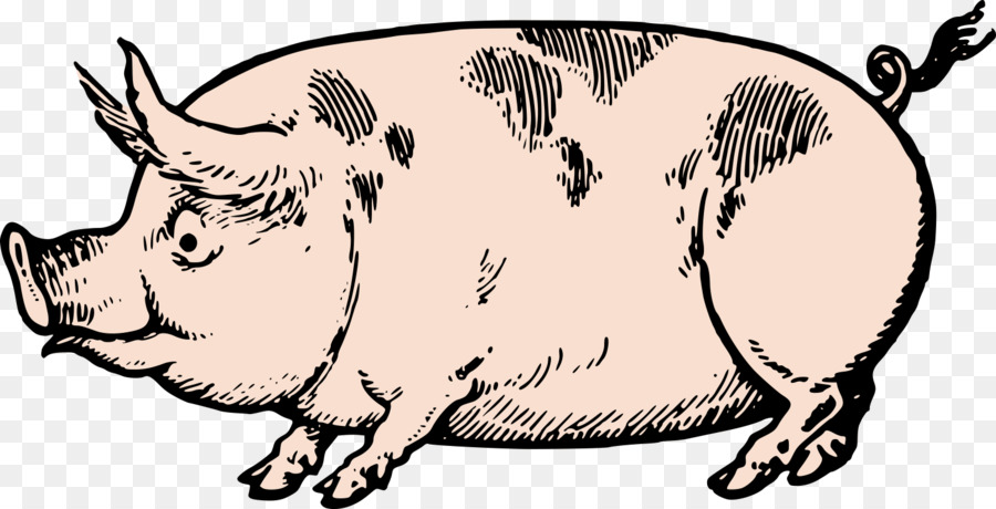 Cochon Dessin Lart En Ligne Png Cochon Dessin Lart En Ligne Transparentes Png Gratuit