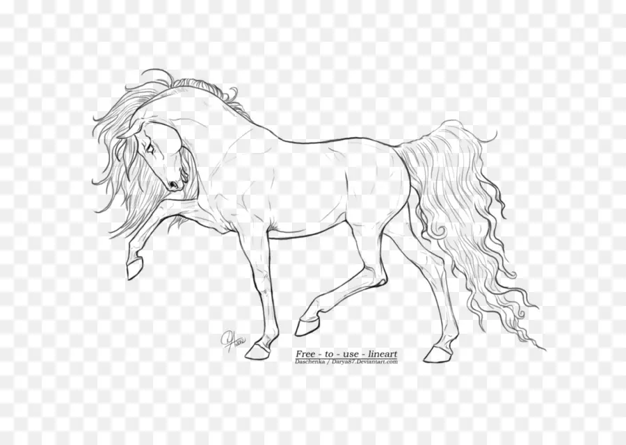 Croquis De Cheval，Animal PNG