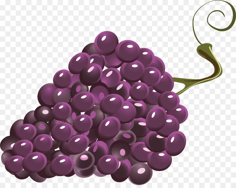 Raisin，Youtube PNG