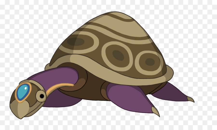 Tortue Verte，Coquille PNG