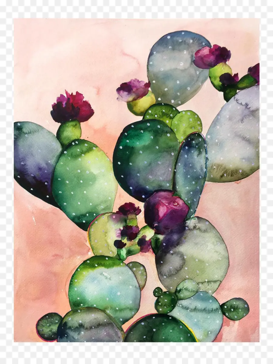 Peinture De Cactus，Aquarelle PNG