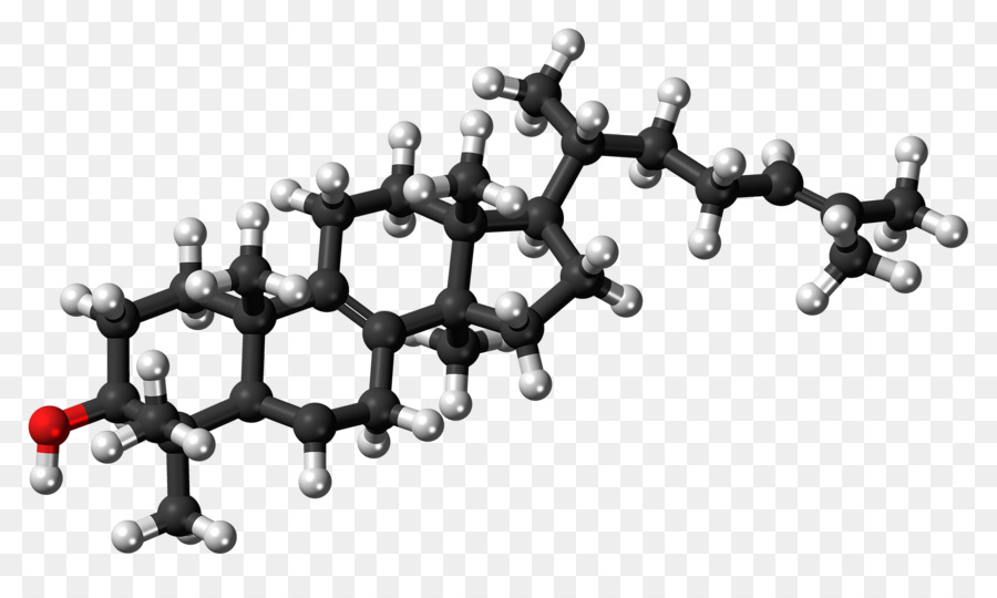 Structure Moléculaire，Chimie PNG