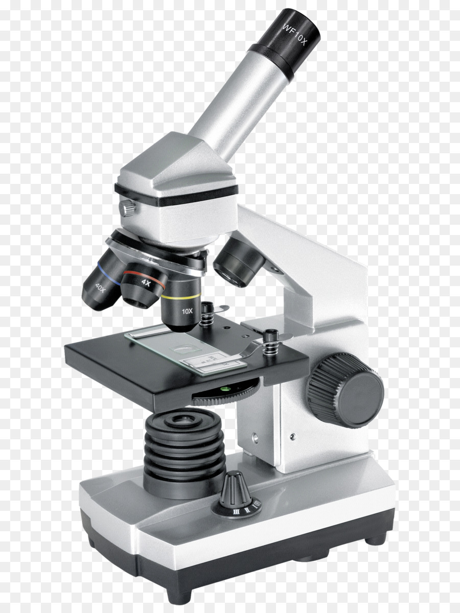 Microscope，Laboratoire PNG