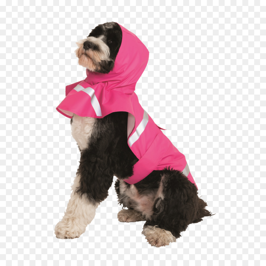 Imperméable，Chien PNG